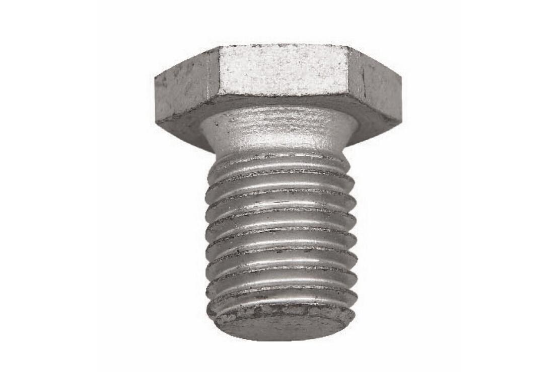 VAICO V201379 Oil Pan Plug | ML Performance Car Parts