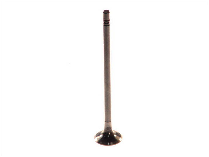 PARADOWSCY PREN071 Exhaust Valve