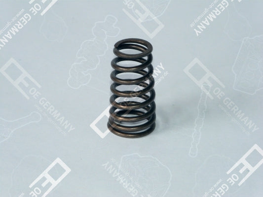 OE GERMANY 010523600001 Valve Spring