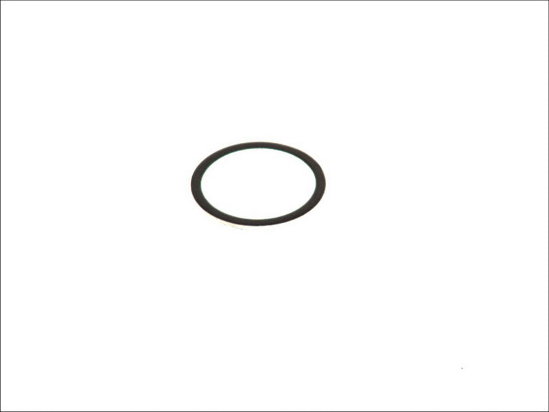 SWAG SW20101310 Timing Chain Tensioner Seal Ring