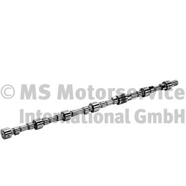 BF 20100335501 Camshaft