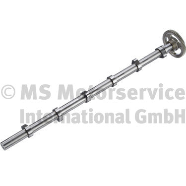 BF 20100393600 Camshaft