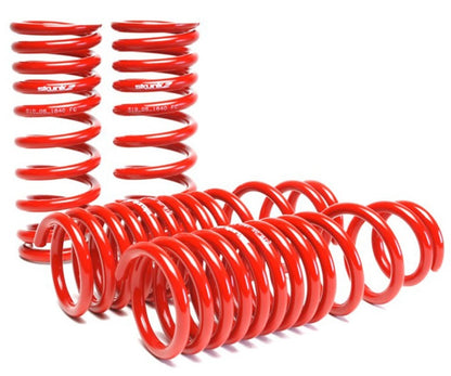 Skunk2 Racing Skunk2 90-93 Acura Integra Lowering Springs (2.50in - 2.25in.) (Set of 4)