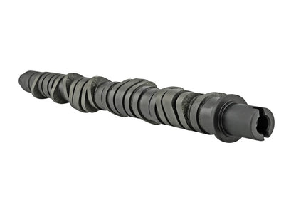 Skunk2 Racing Skunk2 Tuner Series D-Series Honda Stage 4 Camshaft