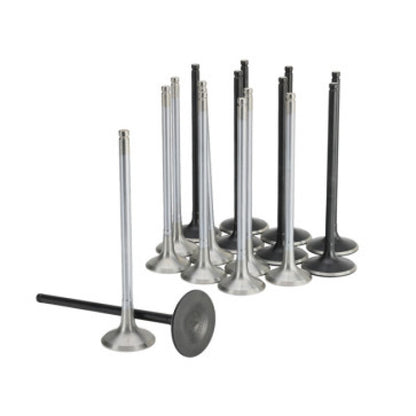 Skunk2 Racing Skunk2 Honda K20C1 Alpha Series Intake & Exhaust Valve Set (Standard Compression)