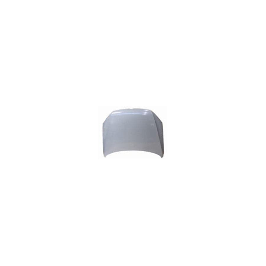 Abakus 05350100 Bonnet for VW Passat