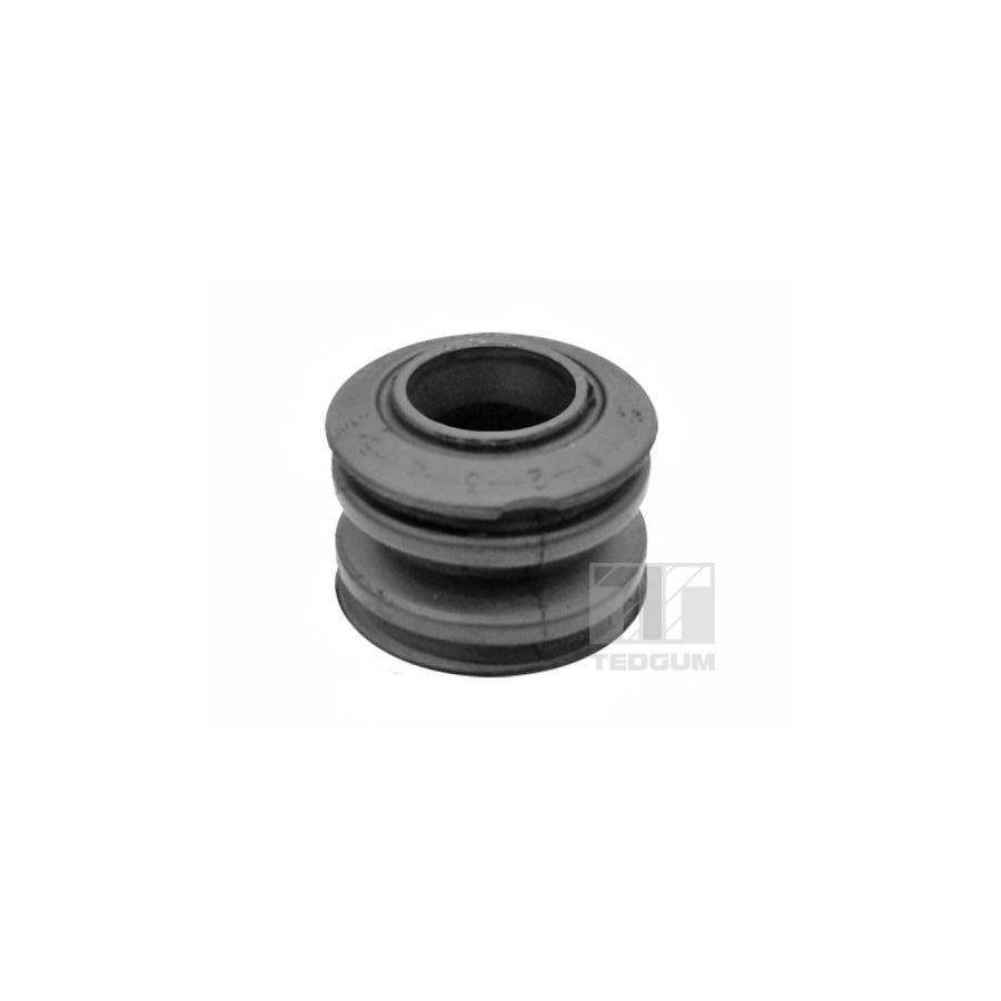 Tedgum 00462370 Control Arm / Trailing Arm Bush For Nissan Primera