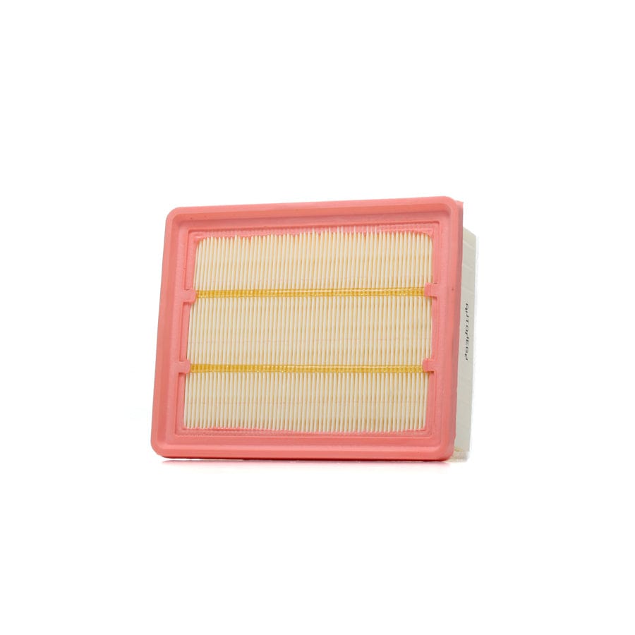 Automega 180029210 Air Filter