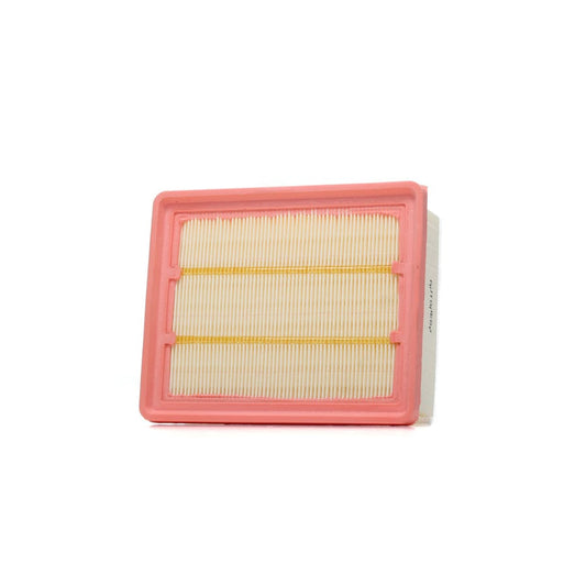 Automega 180029210 Air Filter