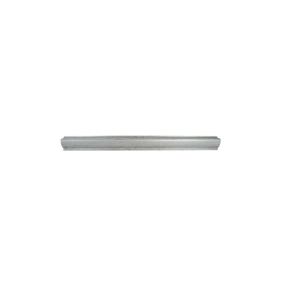 Blic 6505-06-0521015P Rocker Panel For Citroen Zx
