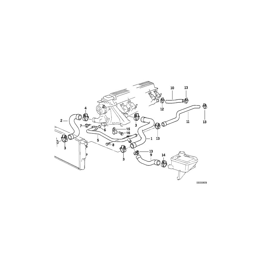 Genuine BMW 11532246733 E36 Hose F Radiator And Engine Return (Inc. 325td & 325tds) | ML Performance US Car Parts