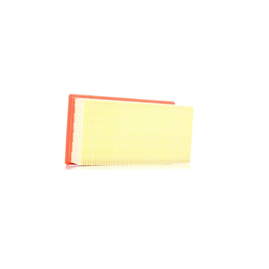 Filtron Ap 196/6 Air Filter