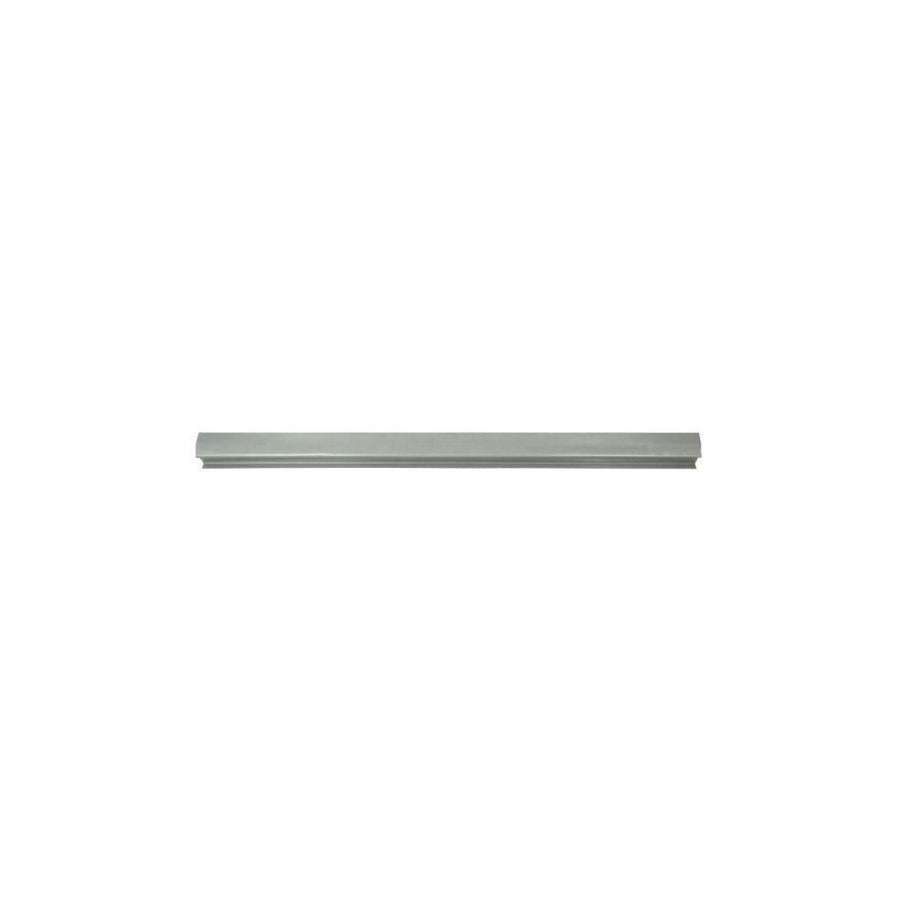 Blic 6505-06-0520010P Rocker Panel For Citroen C4
