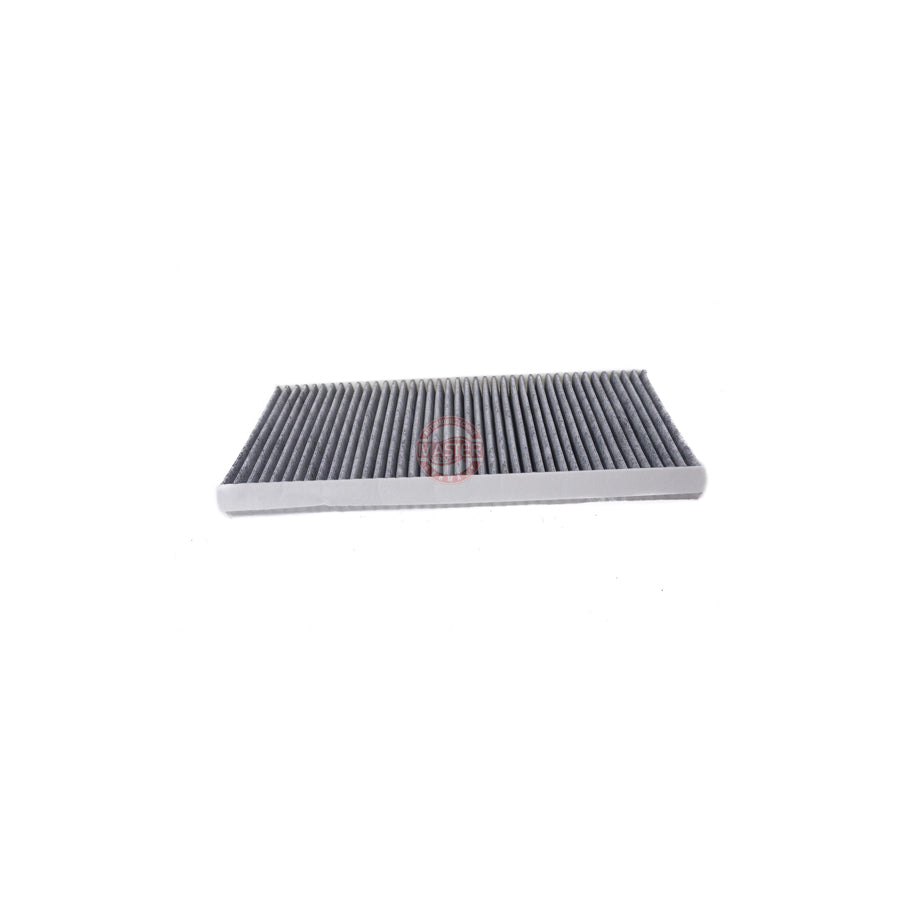Master Sport 4054-IF-PCS-MS Pollen Filter
