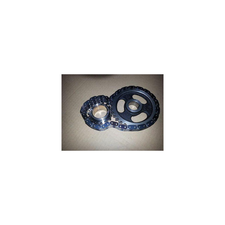 BUGIAD Bsp21920 Timing Chain