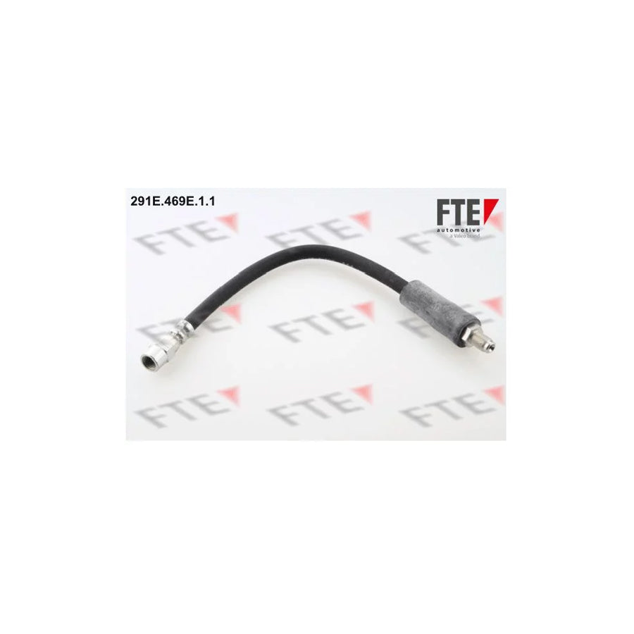 FTE 291E.469E.1.1 Brake Hose