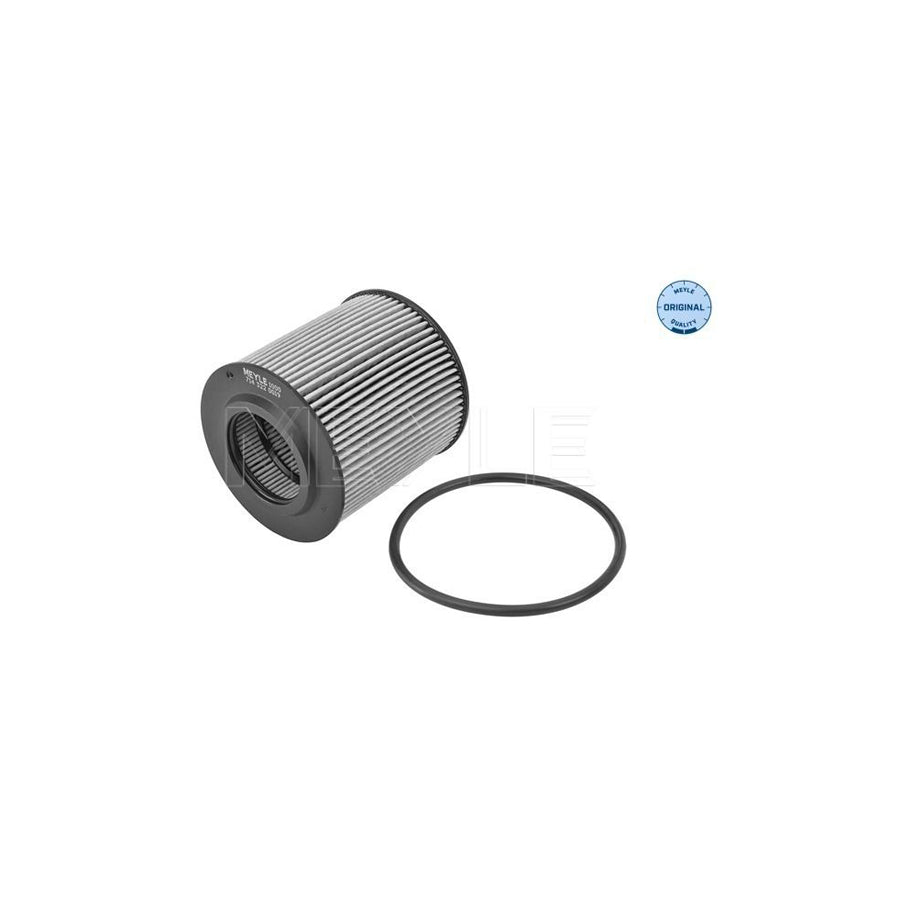 Meyle 714 322 0019 Oil Filter