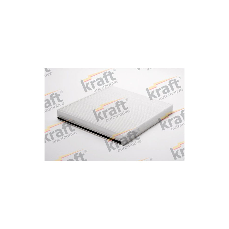 Kraft 1731506 Pollen Filter
