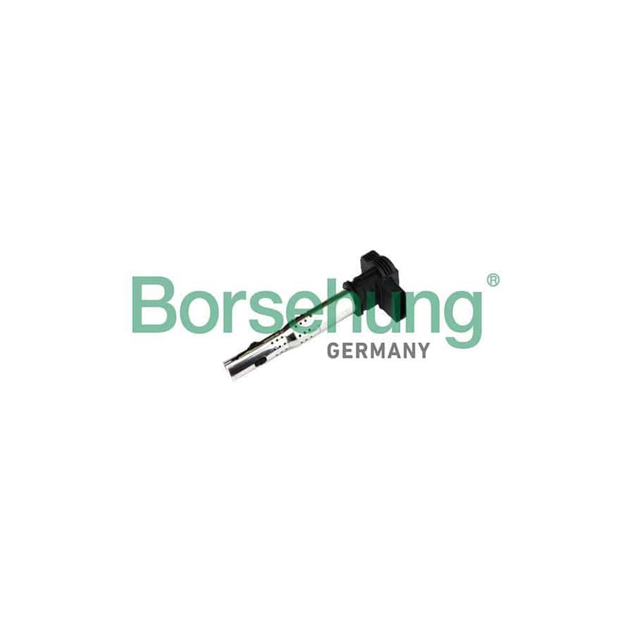 Borsehung B18972 Ignition Coil for VW Golf VI Convertible (517)
