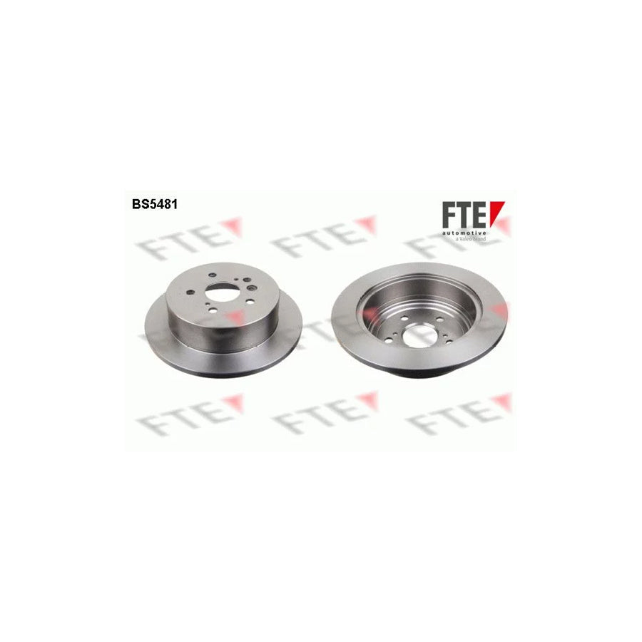 FTE Bs5481 Brake Disc