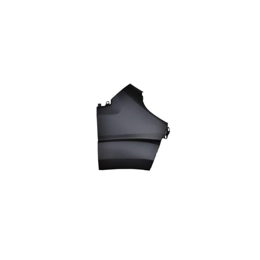 Abakus 01653212 Wing Fender for Peugeot Boxer