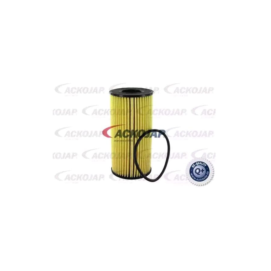 Ackoja A38-0502 Oil Filter | ML Performance US
