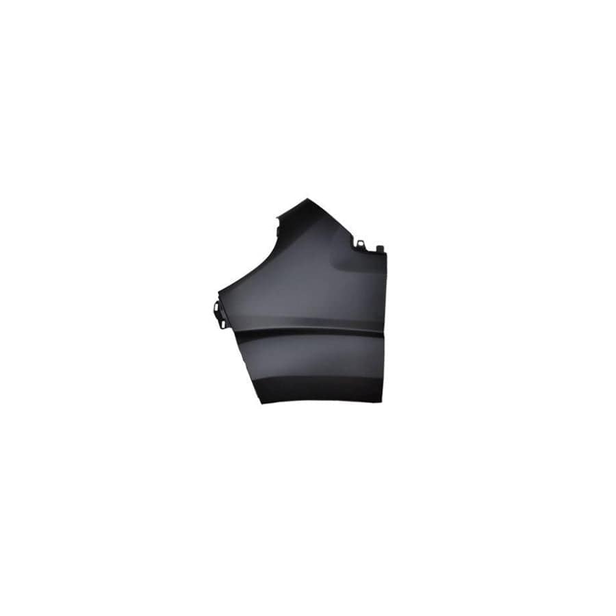 Abakus 01653202 Wing Fender for Peugeot Boxer