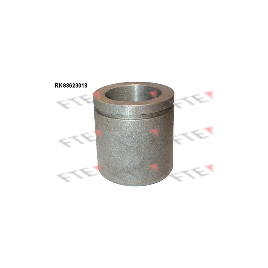 FTE 9313202 Piston, Brake Caliper