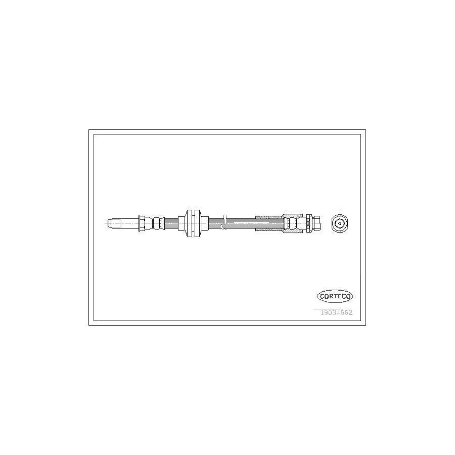 Corteco 19034662 Brake Hose for Ford Focus