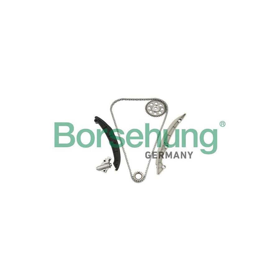 Borsehung B18960 Timing Chain Kit