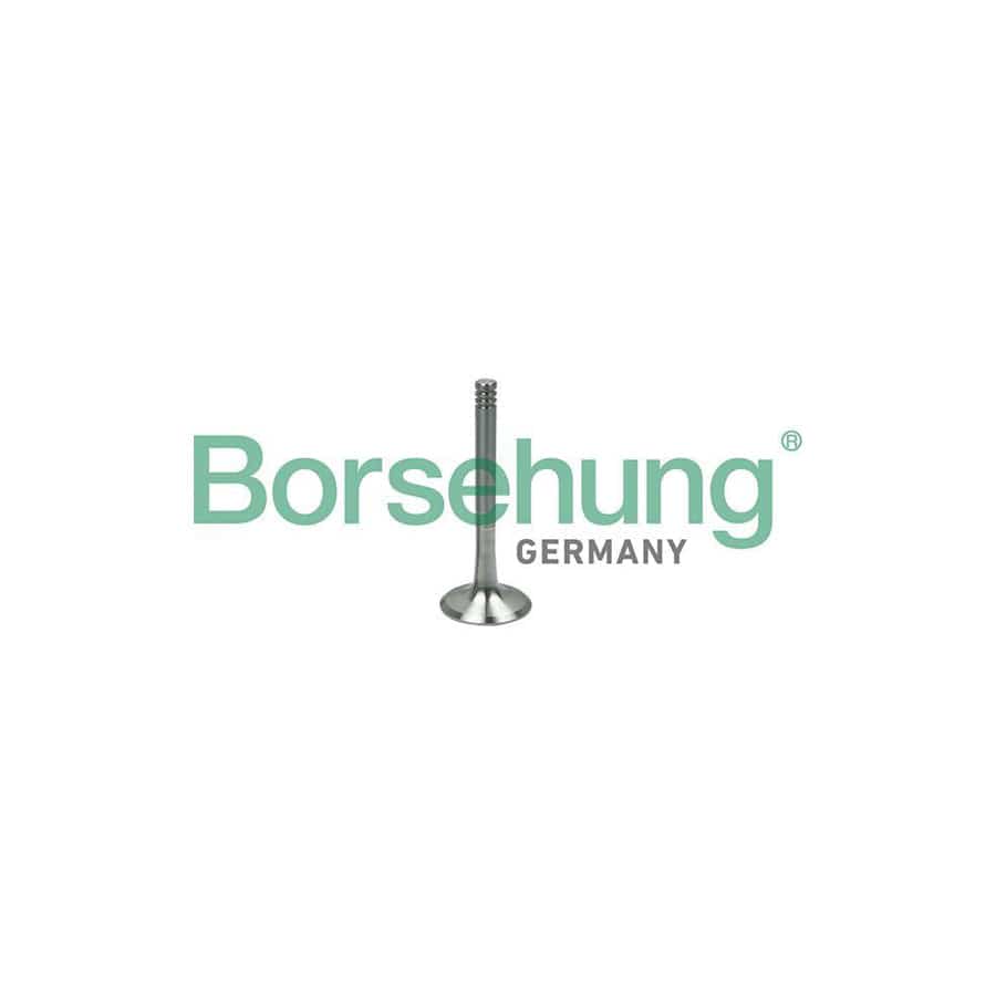 Borsehung B19000 Exhaust Valve