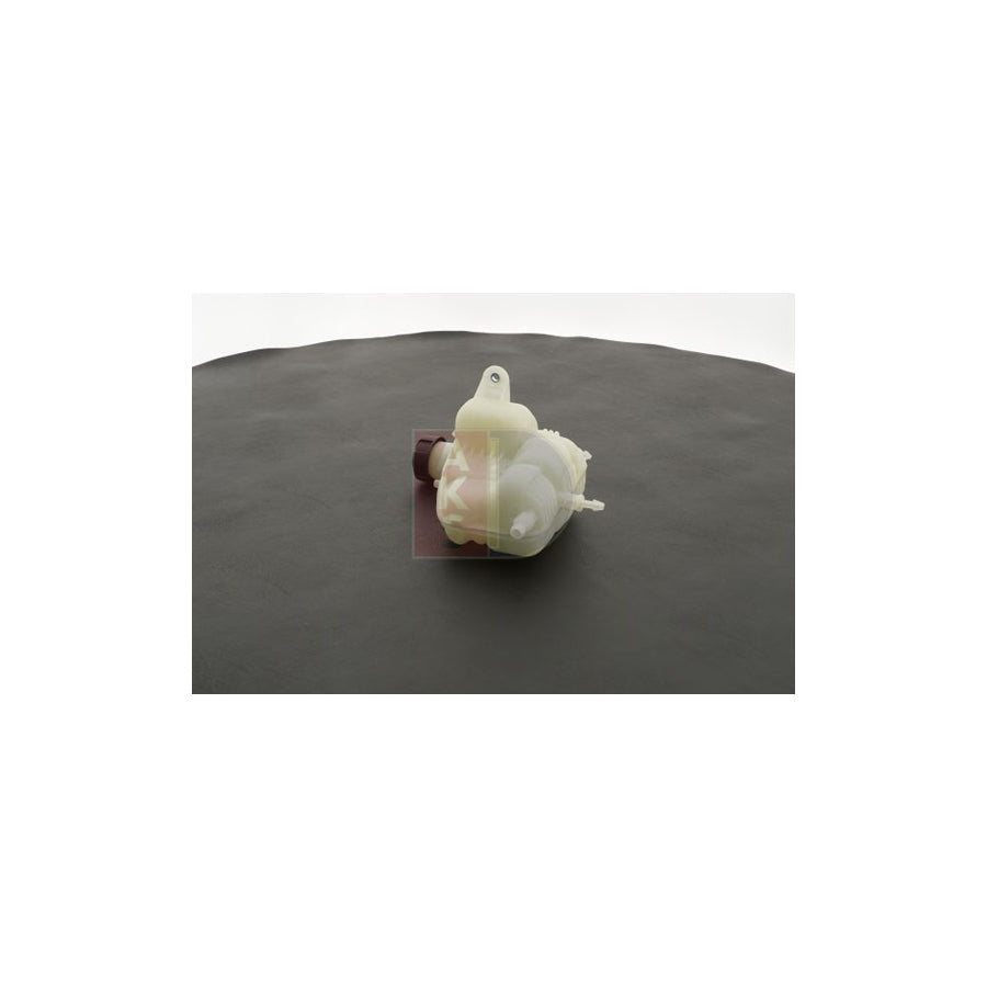AKS Dasis 053033N Coolant Expansion Tank