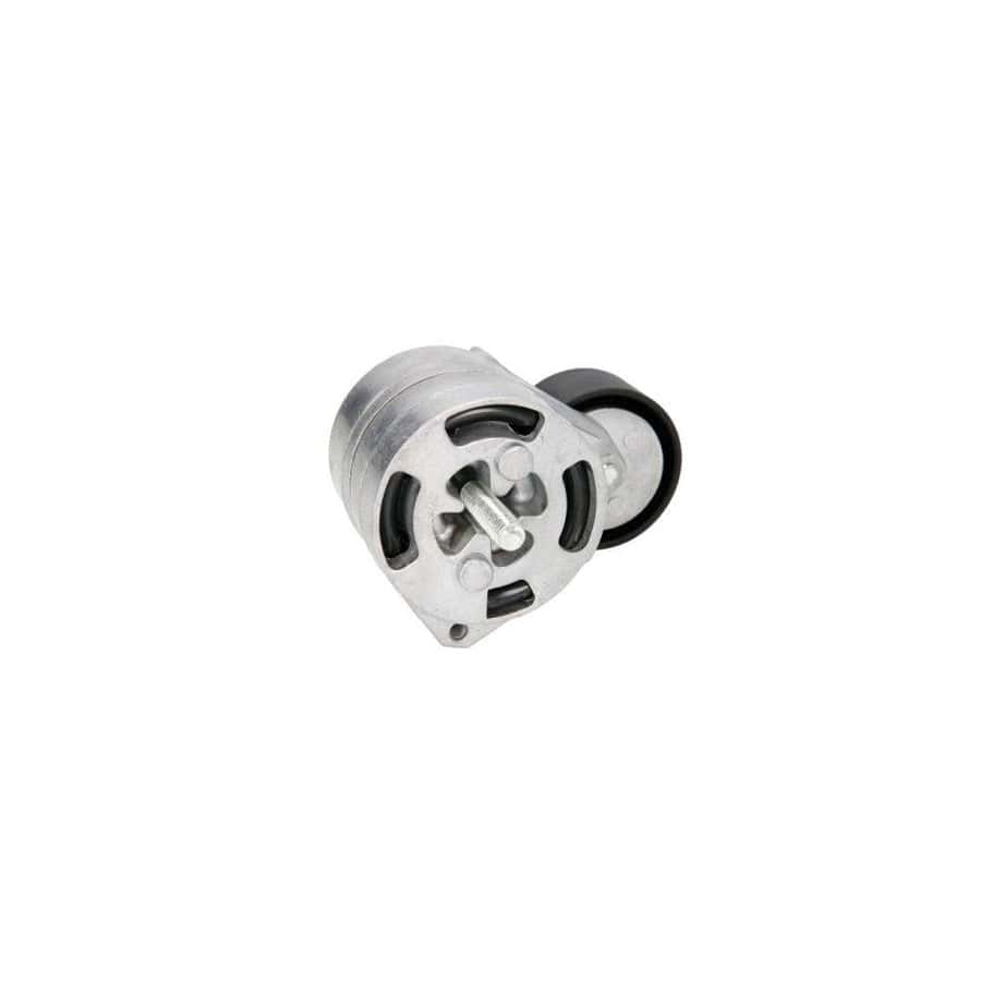 BTA E2G0020BTA Tensioner Pulley for Ford Transit