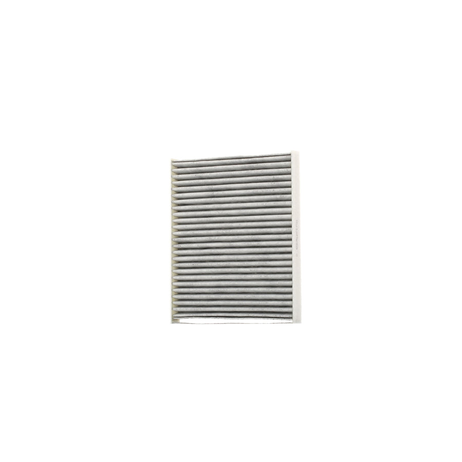 AUTOMEGA 180006110 Pollen Filter
