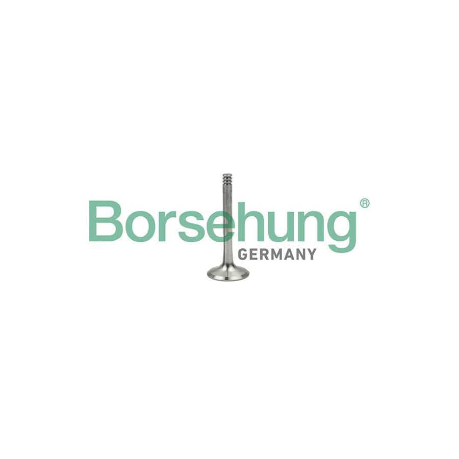 Borsehung B18997 Exhaust Valve