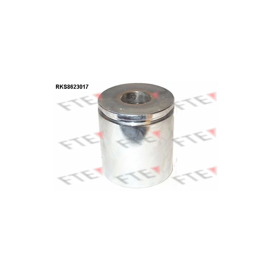 FTE 9313201 Piston, Brake Caliper