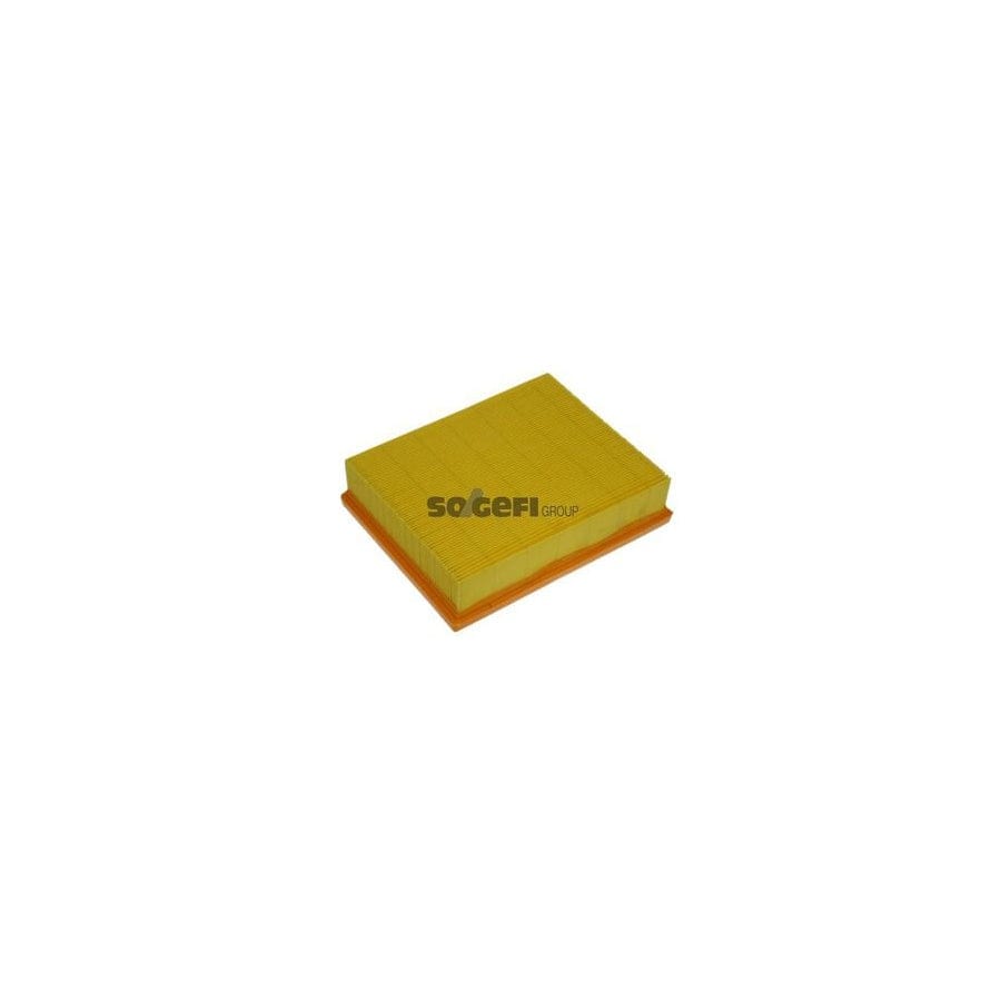 Purflux A1213 Air Filter