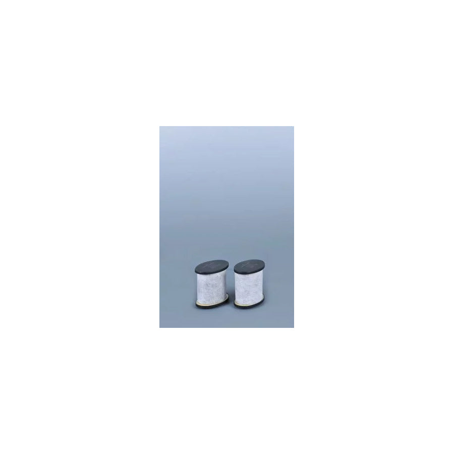 Fleetguard As2495 Air Filter