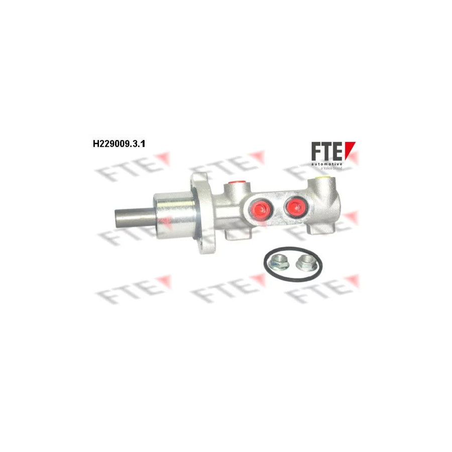 FTE H229009.3.1 Brake Master Cylinder