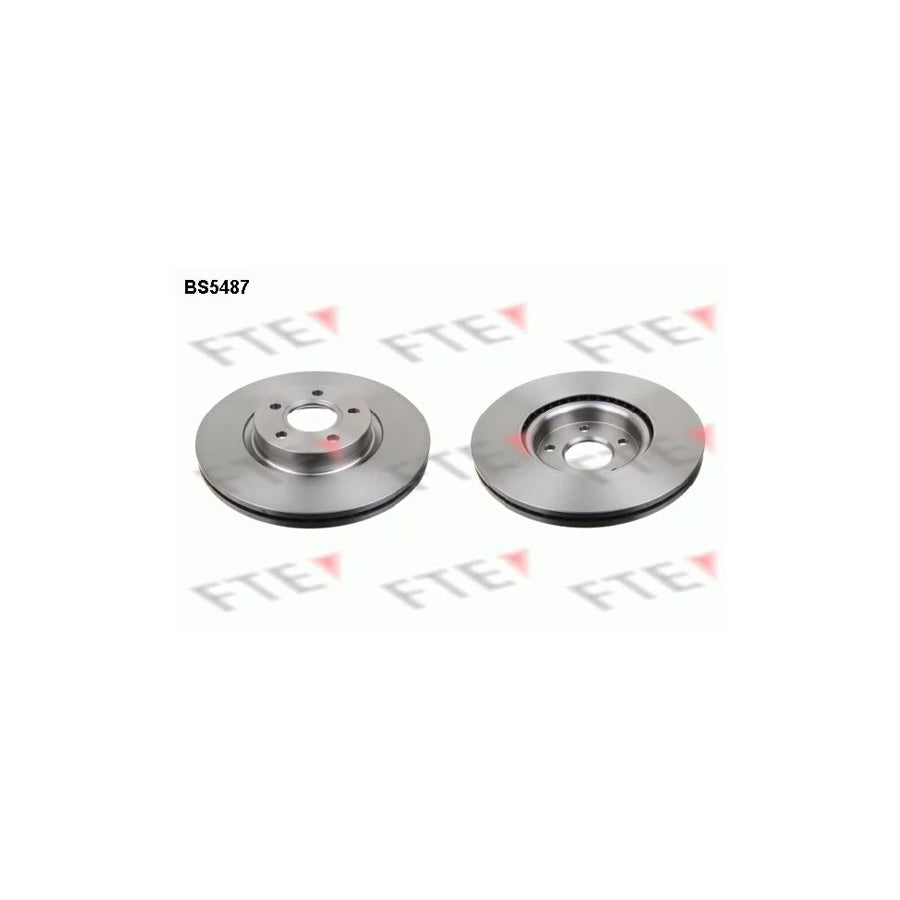 FTE Bs5487 Brake Disc
