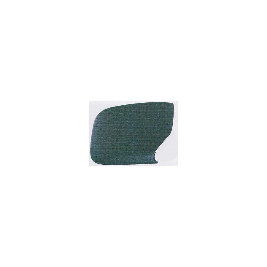 Abakus 0405C02 Cover, Outside Mirror