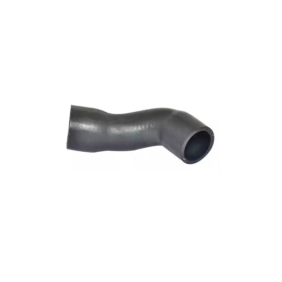 BUGIAD 88748 Charger Intake Hose