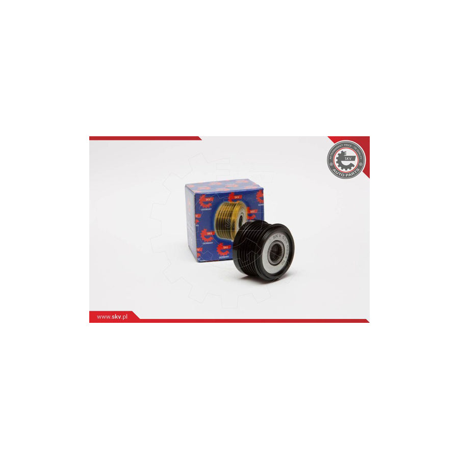 Esen Skv 11SKV016 Alternator Freewheel Clutch