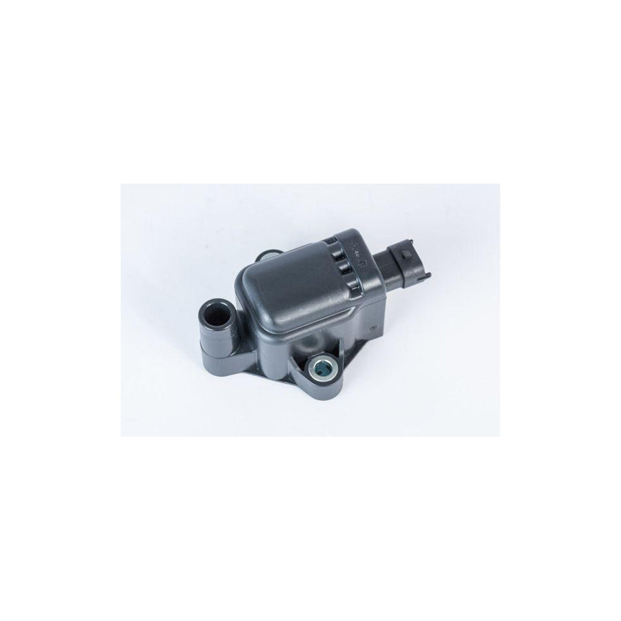 Beru Zs593 Ignition Coil