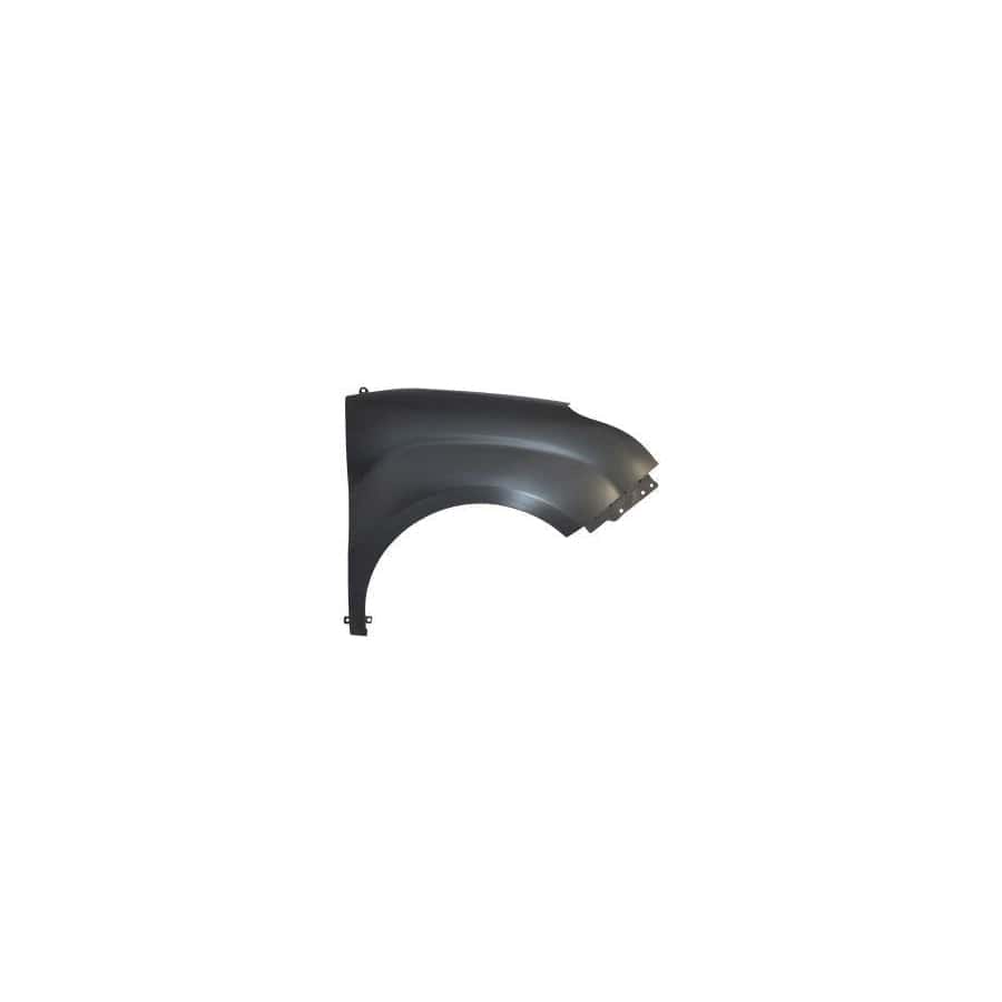 Abakus 01656202 Wing Fender for Fiat Doblo
