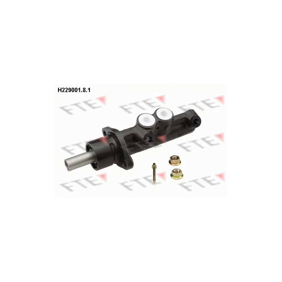 FTE H229001.8.1 Brake Master Cylinder