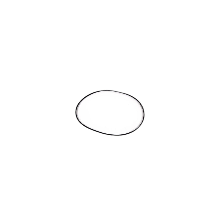 Genuine BMW 24311422806 E39 E85 E38 O-Ring 160X3 (Inc. 325ti) | ML Performance US Car Parts