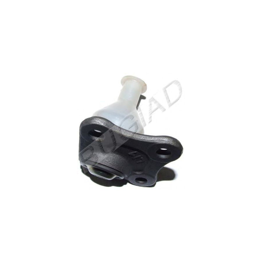 BUGIAD Bsp21961 Ball Joint