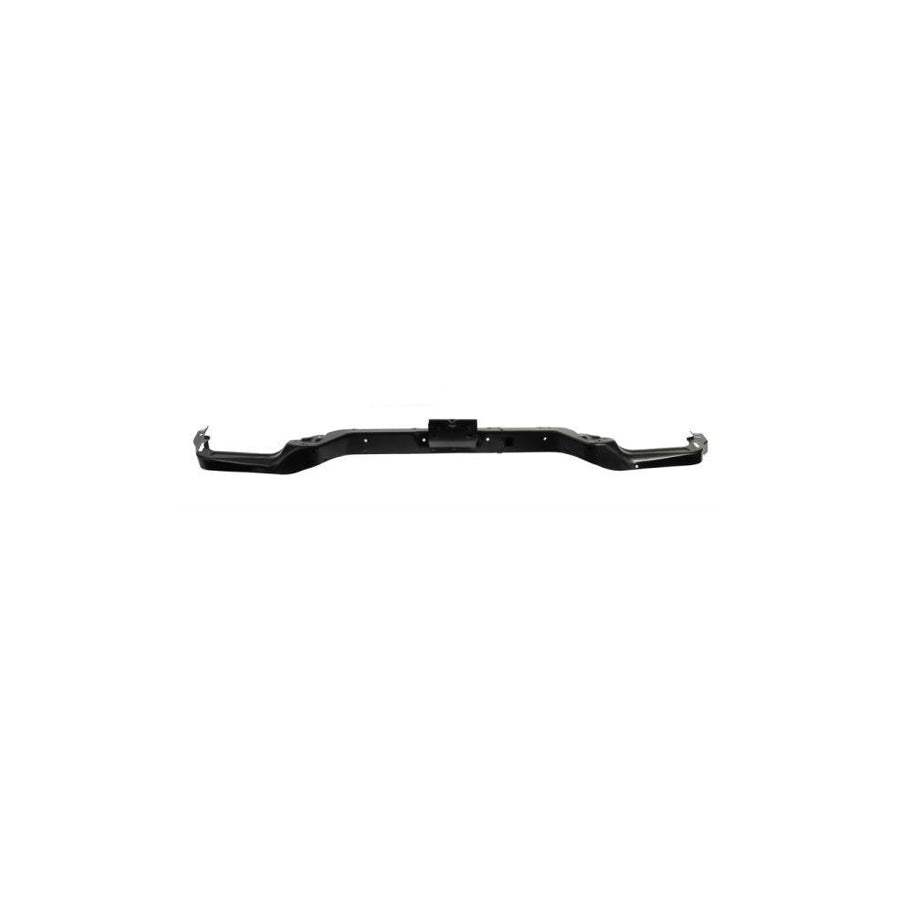 Blic 6502-08-0538203P Front Cowling For Citroen C4 I Picasso (Ud)