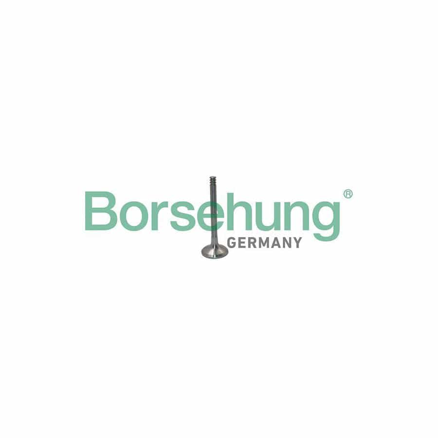 Borsehung B19012 Exhaust Valve